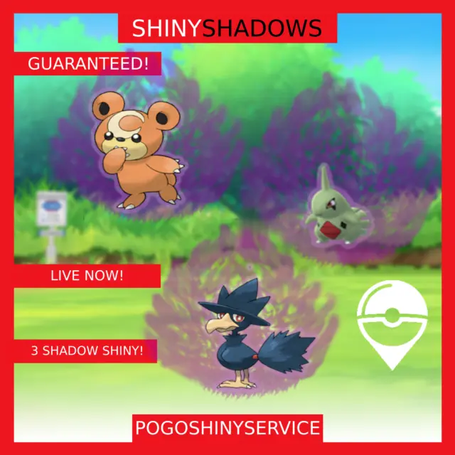 Pokemon All 3 New shiny Shadow Larvitar,Murkrow,Teddiursa Cat ch - Read  describe