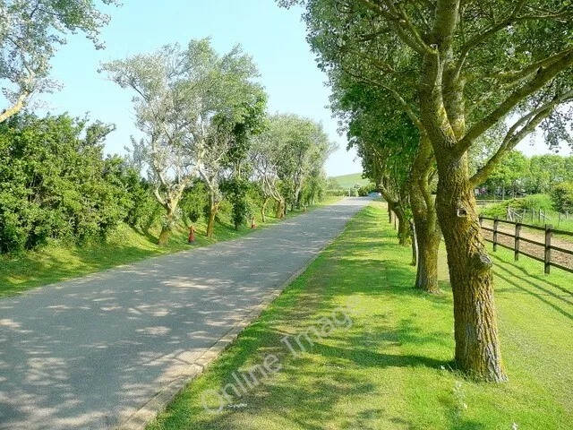 Photo 6x4 Drive from Haven Littlesea Holiday Park Bridport Looking uphill c2010