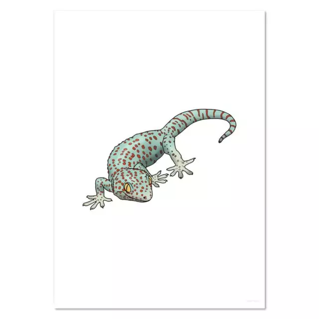 'Tokay Gecko' Wandplakate/Drucke (PP046401)