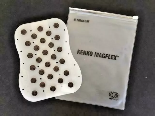 Nikken Kenko Back Flex (Almohadilla Magnética)