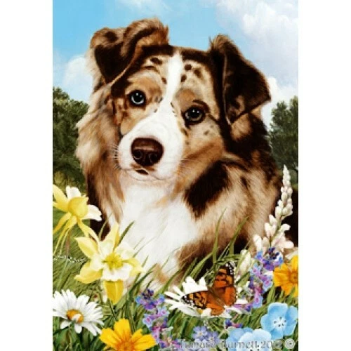 Summer House Flag - Red Merle Australian Shepherd 18202