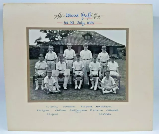 July 1955 Wood Hall Cricket team 1st XI all named 12.7x11" Gross orig photo