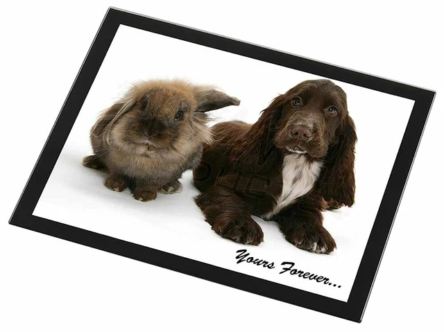 Animals 'Yours Forever' Sentiment Black Rim High Quality Glass Placem, AD-SC2yGP