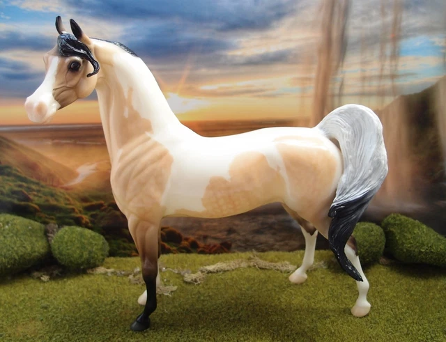 Peter Stone Arabian pinto