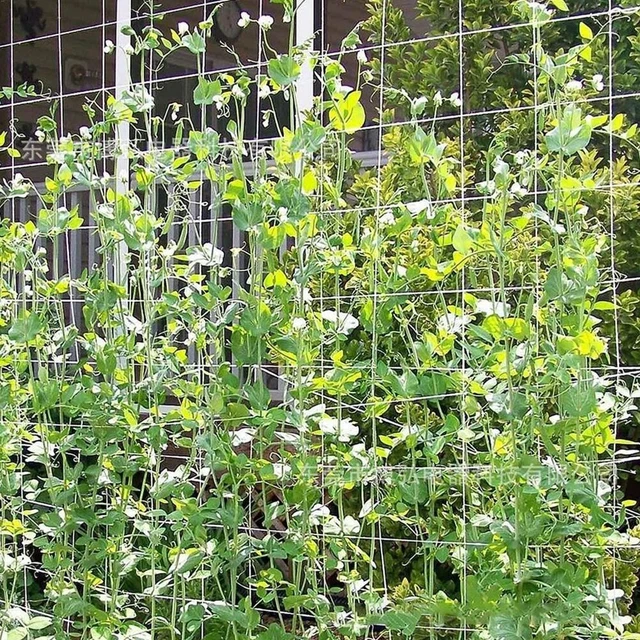 Treillis filet d'escalade pratique pour plantes de jardin pour un entretien faci