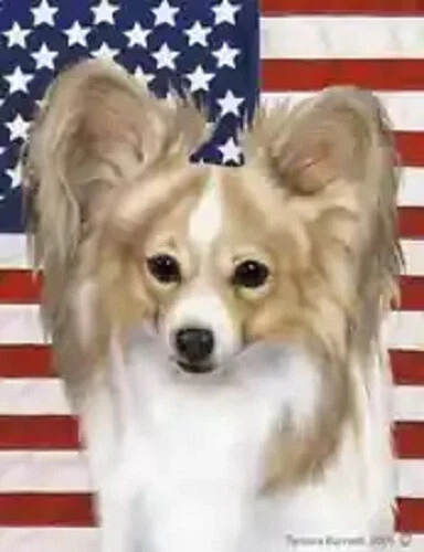 Patriotic (D2) House Flag - Lemon and White Papillon 32443