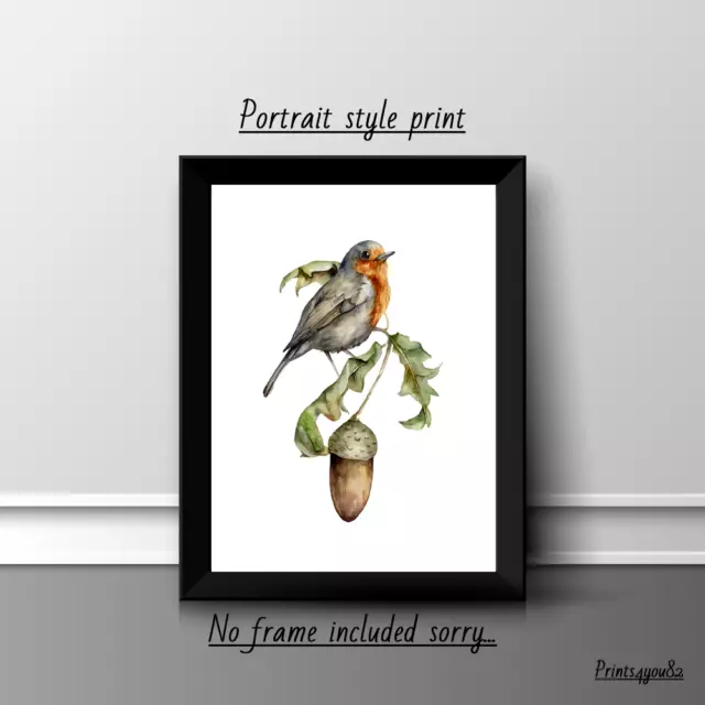 Robin Bird Fun A4 Print Picture Poster Wall Art Home Decor Unframed New Gift