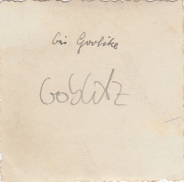Foto Soldat 3. Gebirgs-Division Polen Gorlice Flugzeug Plane Storch FI156 *217 3