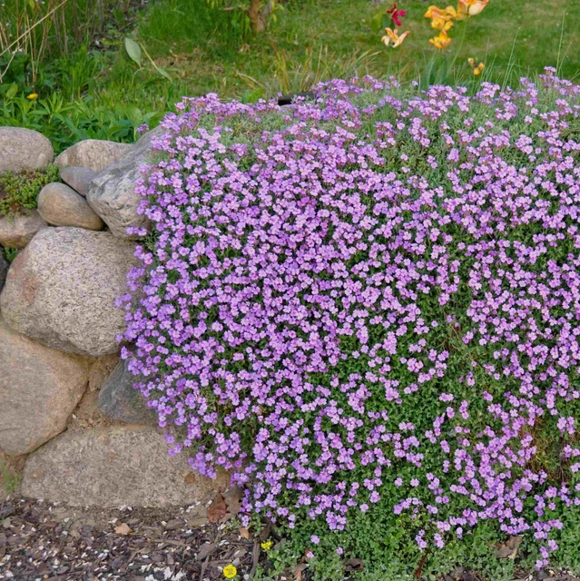 1,3 t Trockenmauersteine € 210/t Natursteine Natursteinmauer Wegebau Garten Hof 3