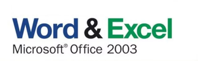 Microsoft 2003 Professional EXCEL & WORD DE Product Key Installationsschlüssel