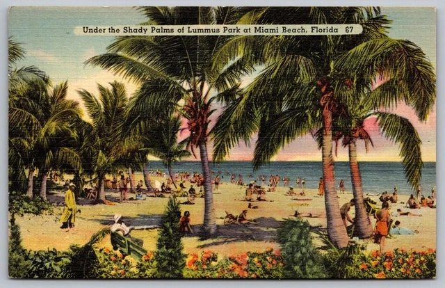 Miami Beach Florida Lummus Park Palm Trees Oceanfront Linen Cancel WOB Postcard