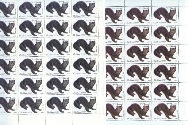 Russia USSR Full sheet Sc4842 Black Sable (2 colors)   2-36 stamp MNH LAST ONE