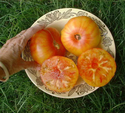 Tomato Beefsteak Pineapple 100 Finest Seeds