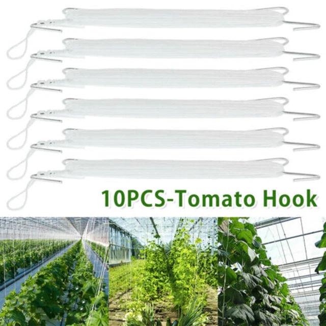 WAYBWZDQ 18 Stück Tomatenhaken Metall mit 18 Pflanzenschnallen und 3m