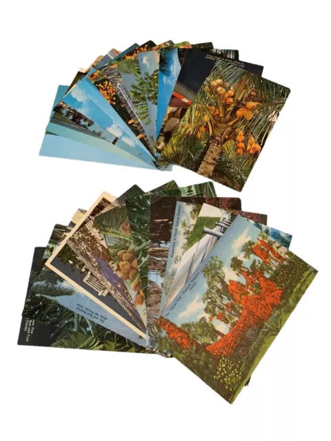 Vintage Florida Postcards Lot Of 23 Color Picture Art Color-Tone