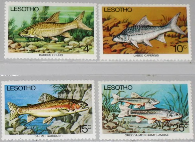 LESOTHO 1977 237-40 Fresh Water Fish Fische Marine Life Fauna Meerestiere MNH