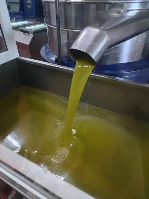 Olio extravergine di d'oliva EVO italiano 10 litri estratto a freddo 2023 ❤❤❤❤