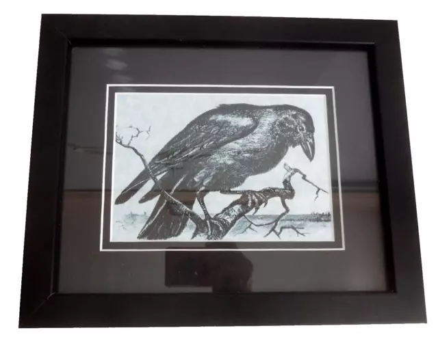 Framed & Matted Black & White Art Print Picture RAVEN Black Crow Lrg Bird 9x11"