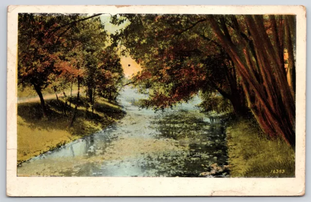 Vintage Postcard 1924 Rive Trees Reflection Green Grass Trees Nature Artwork