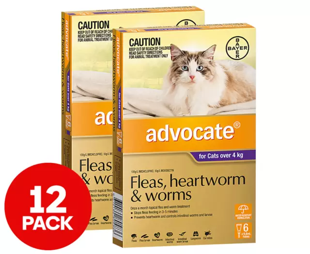 2 X 6Pk Advocate Flea & Worm Treatment for Cats 4Kg+