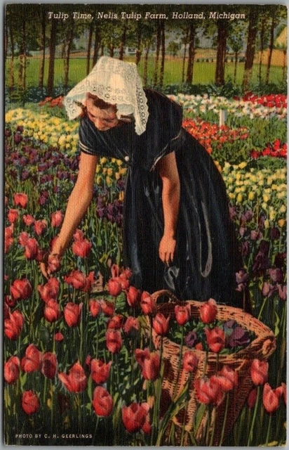 HOLLAND, Michigan Postcard "Tulip Time" Girl Picking Flowers Curteich Linen 1941