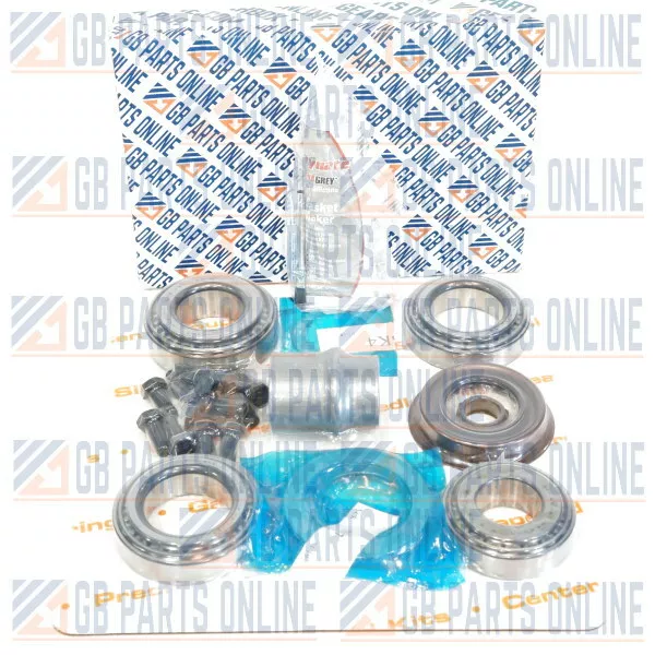 Kit Reconditionnement Essieu Arrière Différentiel pour Buick Electra 72-65/GM