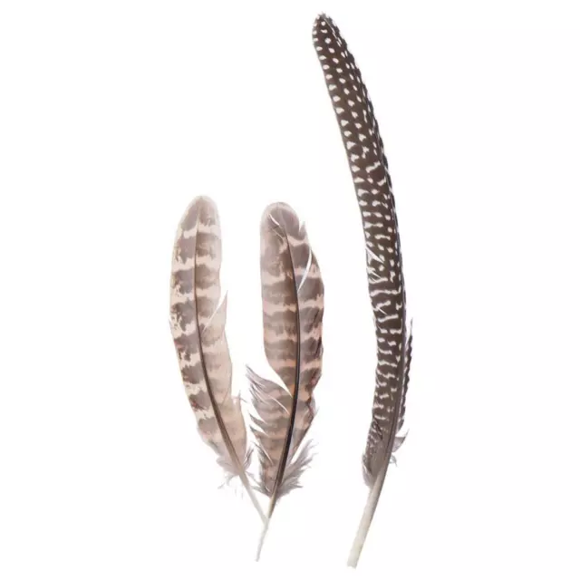 Wing Spotted Feathers 6-8 inch Floral Arrangements  DIY Hat Crafts