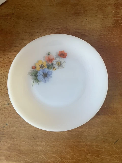 Assiette plate blanche 24cm en Arcopal - Cypress - Arcoroc - Lot de 6
