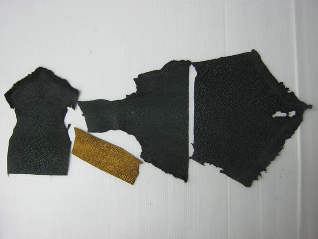 genuino hecho a mano piel de araña real cuero piel chatarra restos de piel 80 gramos LE675