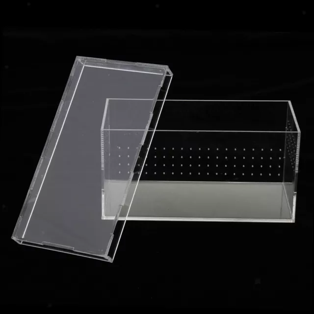 Clear Acrylic Pet Reptile Holder Terrarium Habitat Breeding Box Turtle Tank Cage