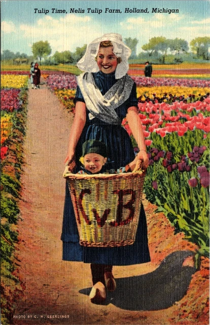 Tulip Time Nelis Tulip Farm Holland Michigan MI c1941 Unposted Postcard