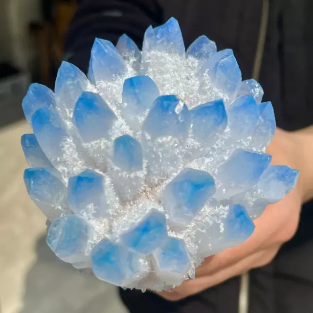 1.66LB New Find Blue Phantom Quartz Crystal Cluster Mineral Specimen Healing.