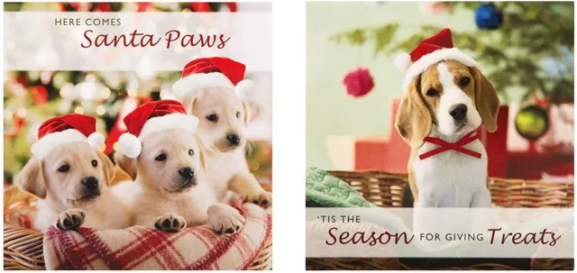 Hallmark Mini Photographic Charity Christmas Cards, In 2 Designs, Pack of 30