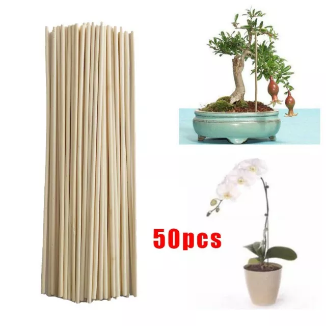 50pcs Garden Bamboo Flower Sticks Dia 3 Mm Support Short Planting Canes Rod