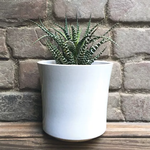 Simple White Ceramic Plant Pot Contemporary