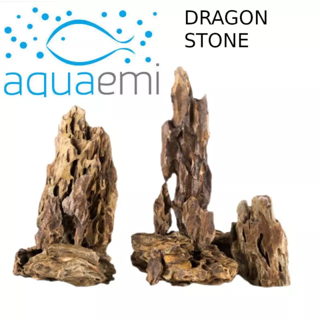 Dragon Rock Aquarium pietra acquario set pronti decorazione vasca per pesci in varie dimensioni