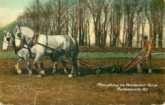 Horse Pulling Plow On Vanderbilt Farm, Portsmouth, Rhode Island Vintage Postcard