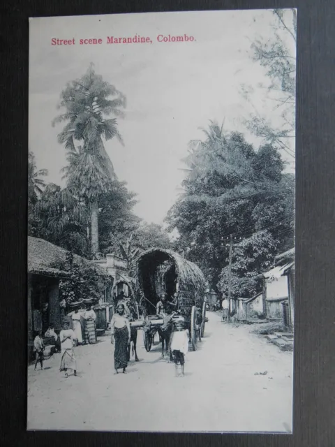 Street Scene Marandine Colombo Ceylon Sri Lanka c1910 Natives Bullock Cart