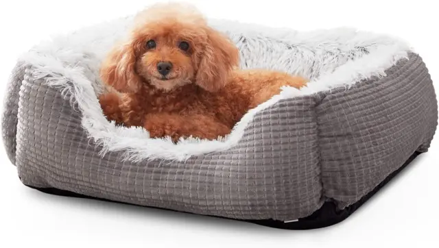 Small Dog Bed for Small Medium Large Dogs, Calming Cat Beds for Indoor Cats and