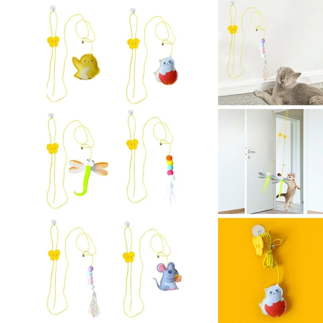 Jouet pour chat auto-excité Jouets en plumes Fournitures pour chat Type de