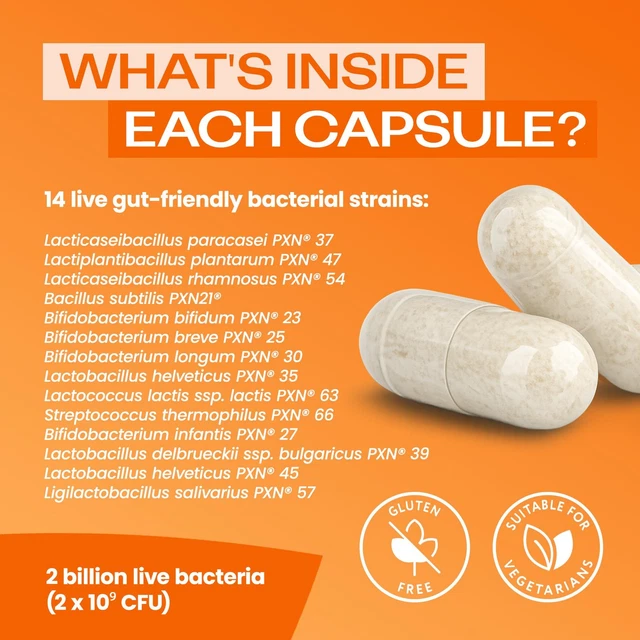 Strainn BIO KULT EVERYDAY Multi Strain Formulation Probiotics for Digestive ...