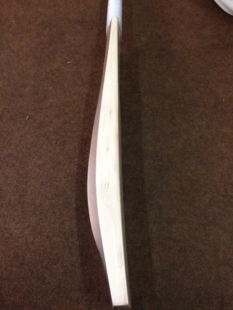 Batte de cricket en saule anglais Grade 1er Big Edge + autocollant MRF...