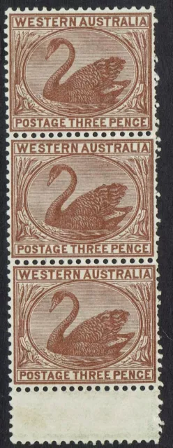 Western Australia 1882 Swan 3D Mnh ** Strip Wmk Crown Ca