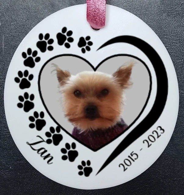 Recuerdo De Regalo Conmemorativo De Pet Con Foto Y Nombre Cinta Azul O Rosa
