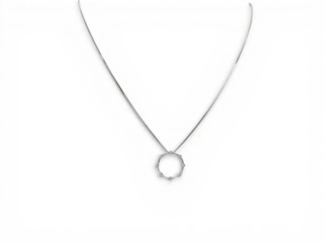 Collier et Pendentif Cur 'Lil Sis' / Petite Sur en Argent 925/1000 - 41