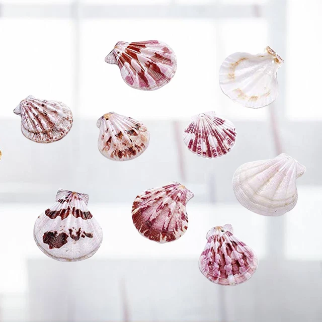 1 paquete de 500 g cuenco natural hágalo usted mismo hechizo artesanal para decoración de interiores tema de playa
