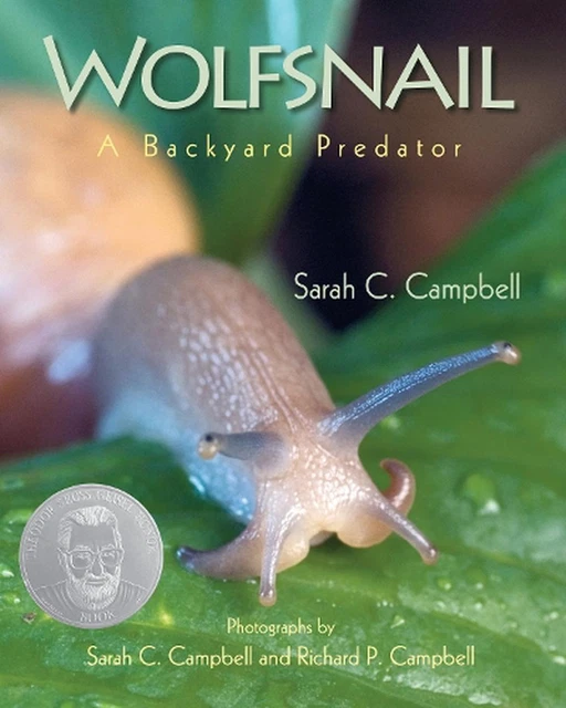 wolfsnail-a-backyard-predator-by-sarah-c-campbell-english-paperback