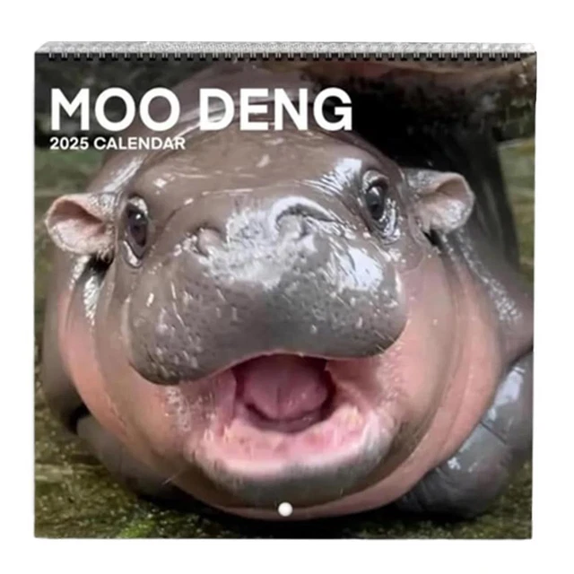 2025 MOO DENG Calendar, 2025 Moo Deng Pygmy Hippo Monthly Wall Calendar