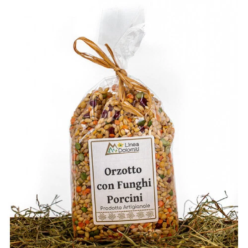 Orzotto con Funghi Porcini