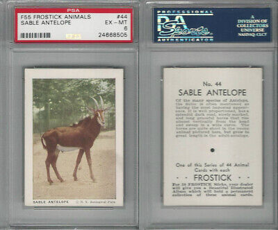 F55 Frostick, Animal Cards, 1933, #44 Sable Antelope, PSA 6 EXMT